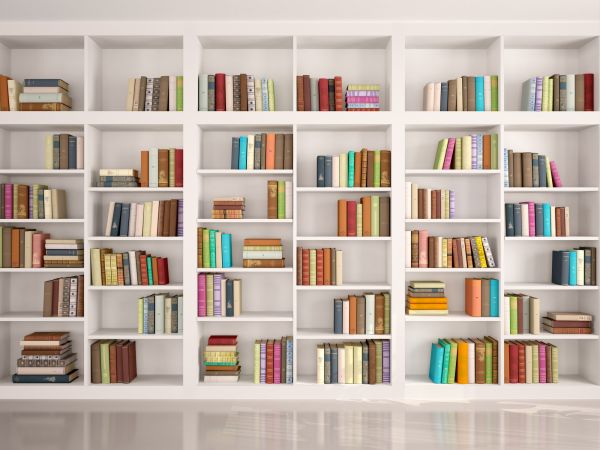 Bookshelf Assembly in Frederick