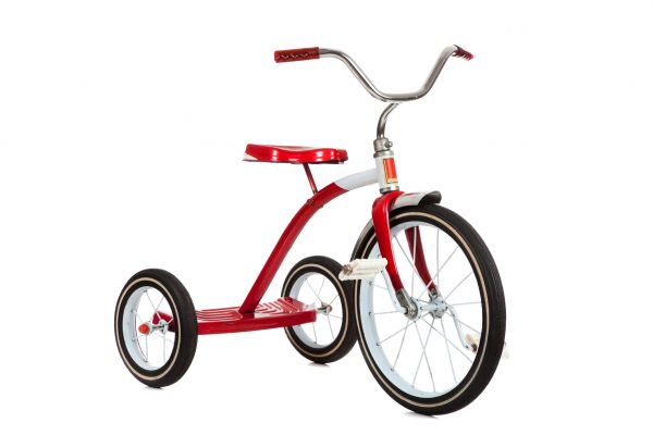 Tricycle Assembly in Frederick
